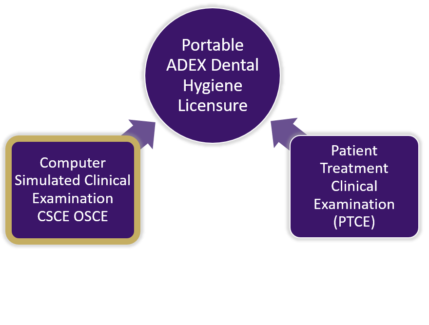 Dental Hygiene (ADEX) | CDCA