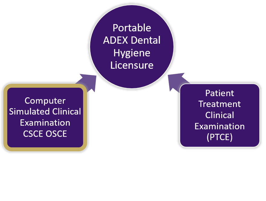 Cdca Adex Manual 2024 Misti Teodora